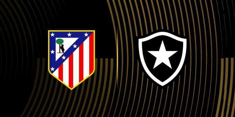 Thống kê trận Atletico Madrid & Botafogo RJ